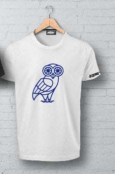 Owl Tee shirt (Adult)